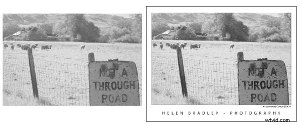 Frame Your Photos Like a Pro: Stunning Photoshop Tutorial for Professional Results