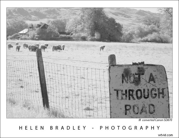 Frame Your Photos Like a Pro: Stunning Photoshop Tutorial for Professional Results