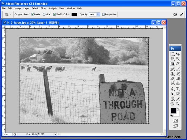 Frame Your Photos Like a Pro: Stunning Photoshop Tutorial for Professional Results