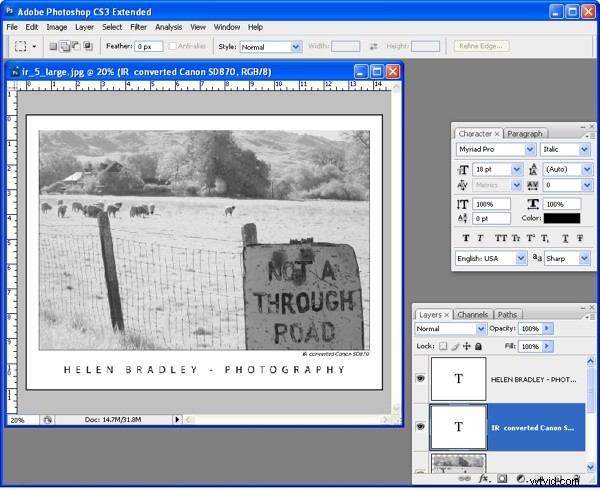 Frame Your Photos Like a Pro: Stunning Photoshop Tutorial for Professional Results