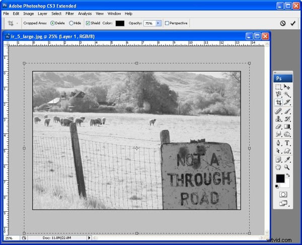 Frame Your Photos Like a Pro: Stunning Photoshop Tutorial for Professional Results
