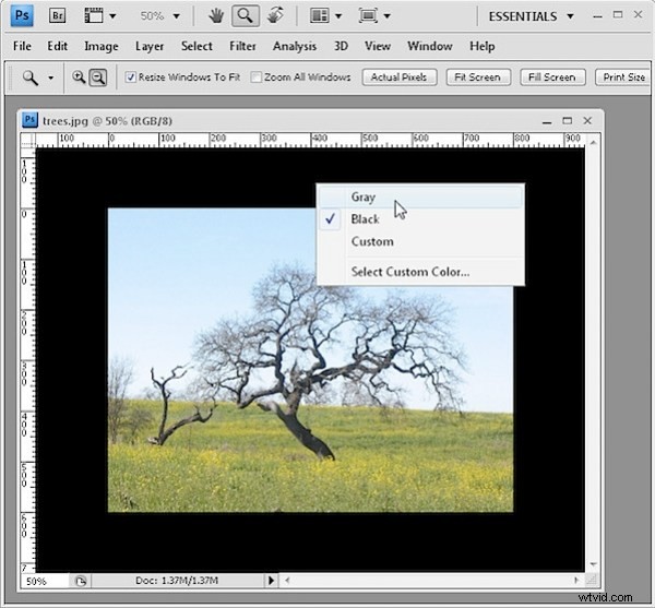 Discover 10 Hidden Photoshop Interface Features Every Pro Should Know