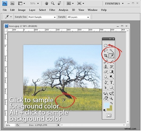Discover 10 Hidden Photoshop Interface Features Every Pro Should Know