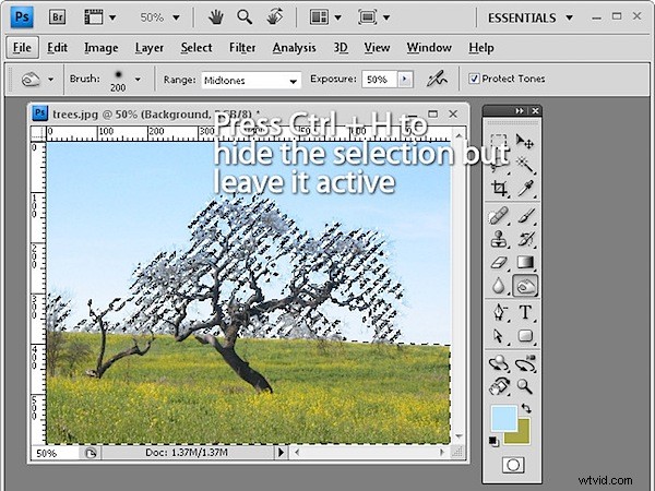 Discover 10 Hidden Photoshop Interface Features Every Pro Should Know