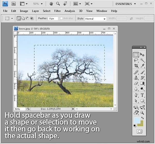 Discover 10 Hidden Photoshop Interface Features Every Pro Should Know