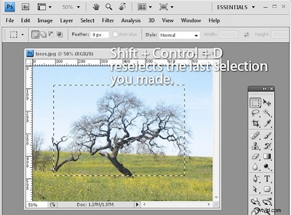 Discover 10 Hidden Photoshop Interface Features Every Pro Should Know