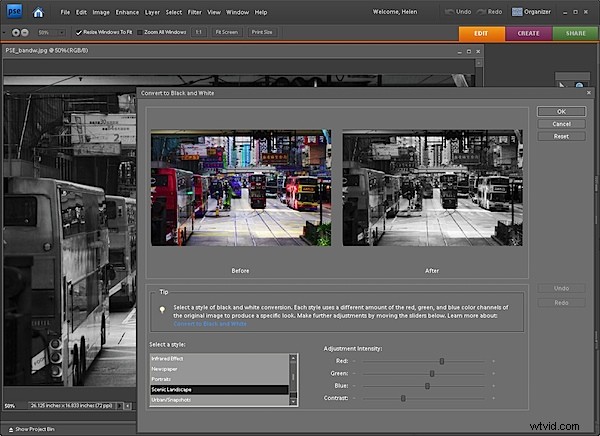 Master Precise Adjustable Black & White Conversions in Photoshop Elements