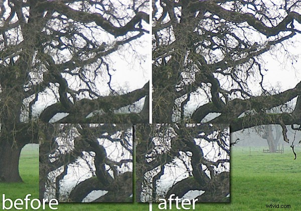 Photoshop Sharpening Mastery: High Pass Filter vs. Unsharp Mask