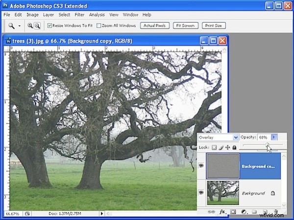 Photoshop Sharpening Mastery: High Pass Filter vs. Unsharp Mask