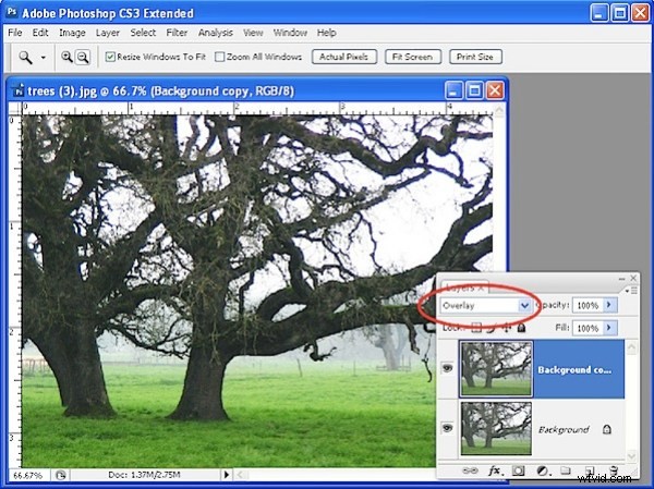Photoshop Sharpening Mastery: High Pass Filter vs. Unsharp Mask