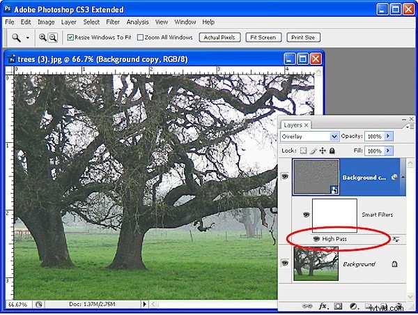 Photoshop Sharpening Mastery: High Pass Filter vs. Unsharp Mask