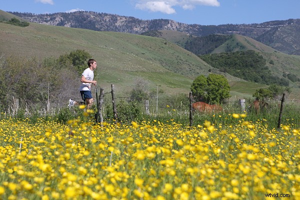 Create a Stunning Vintage Photo Effect in Photoshop in Under 60 Seconds