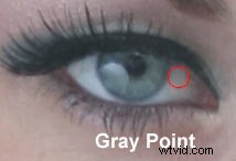 Master Color Correction: Curves Eyedropper Technique in Photoshop