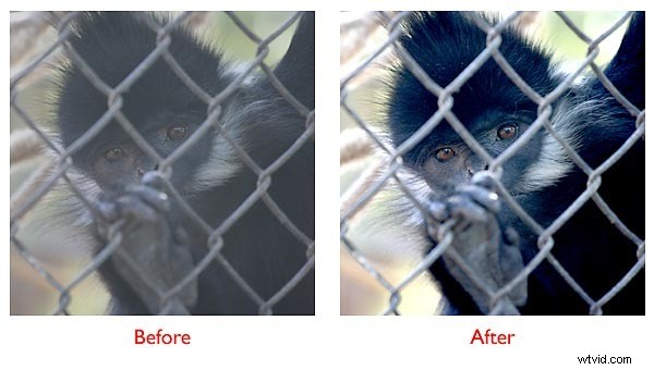 Revive Underexposed Photos: Master Photoshop Levels for Perfect Exposure