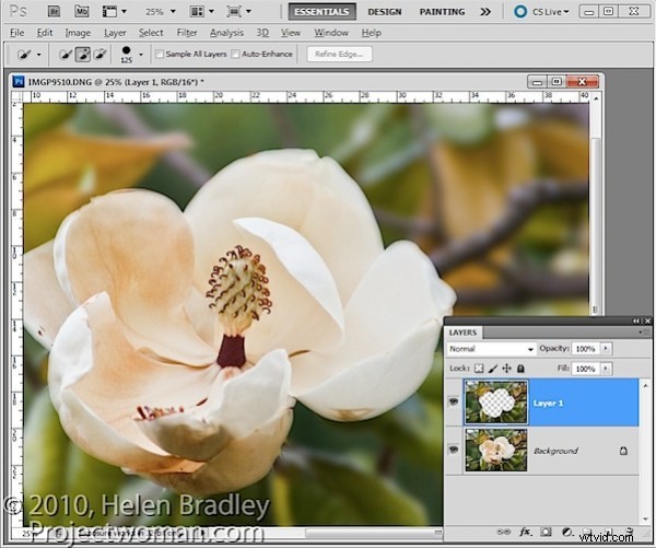 Photoshop Guide: Mastering Locked Transparent Pixels for Precise Editing