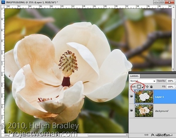 Photoshop Guide: Mastering Locked Transparent Pixels for Precise Editing