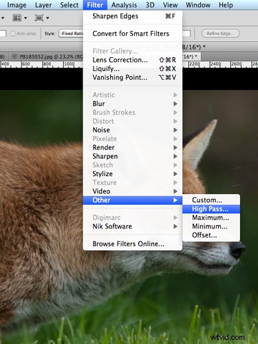 Master Image Sharpening in Photoshop: Pro Techniques for Crisp, Professional Results