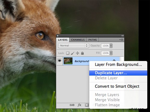 Master Image Sharpening in Photoshop: Pro Techniques for Crisp, Professional Results