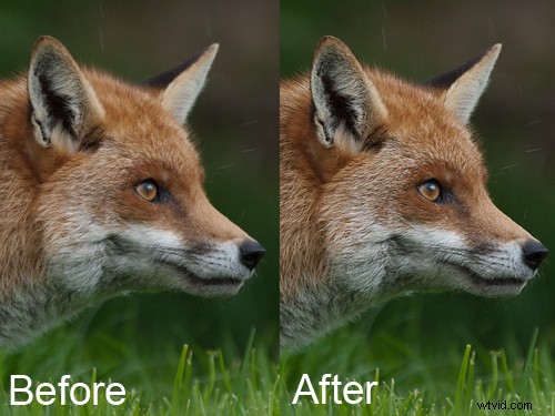 Master Image Sharpening in Photoshop: Pro Techniques for Crisp, Professional Results