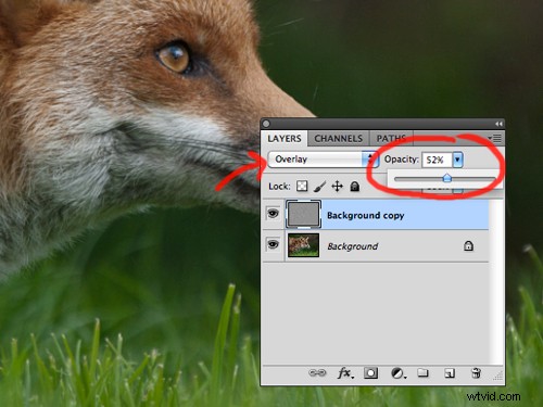 Master Image Sharpening in Photoshop: Pro Techniques for Crisp, Professional Results
