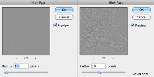 Master Image Sharpening in Photoshop: Pro Techniques for Crisp, Professional Results