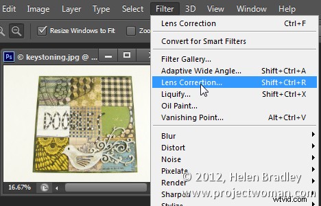 Master Perspective Correction in Photoshop & Elements: Step-by-Step Guide