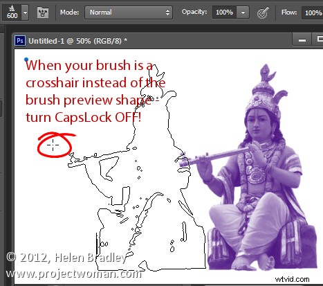 5 Essential Photoshop Brush Tips for Pro-Level Editing