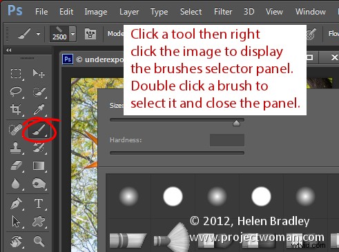 5 Essential Photoshop Brush Tips for Pro-Level Editing
