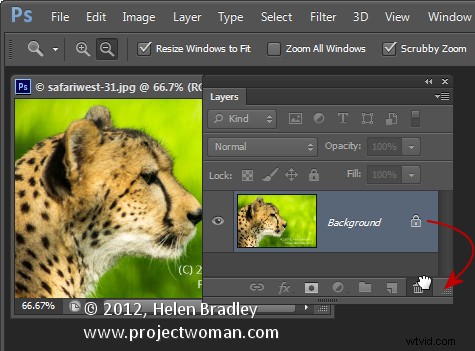 7 Essential Photoshop Layer Tricks to Supercharge Your Editing Workflow