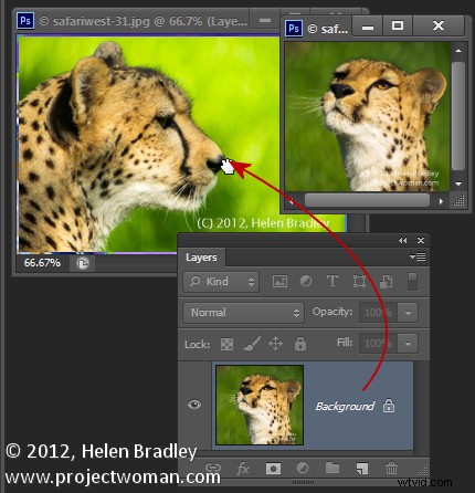 7 Essential Photoshop Layer Tricks to Supercharge Your Editing Workflow
