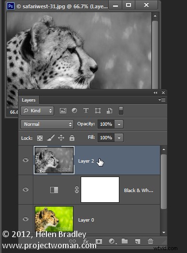 7 Essential Photoshop Layer Tricks to Supercharge Your Editing Workflow