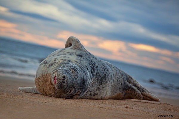 When a Viewer Cries  That s a Photoshop!  – The Truth About Photo Editing