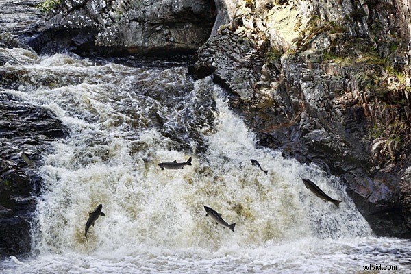 When a Viewer Cries  That s a Photoshop!  – The Truth About Photo Editing