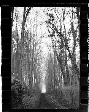 How Photoshop Fuels Paranoia: A Freelance Photographer s Real Struggles