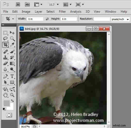 How to Crop to Fixed Aspect Ratios in Photoshop (4x6, 5x7, 1:1 Guide)
