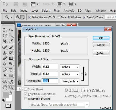 How to Crop to Fixed Aspect Ratios in Photoshop (4x6, 5x7, 1:1 Guide)