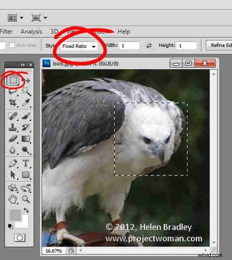 How to Crop to Fixed Aspect Ratios in Photoshop (4x6, 5x7, 1:1 Guide)