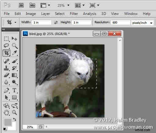 How to Crop to Fixed Aspect Ratios in Photoshop (4x6, 5x7, 1:1 Guide)
