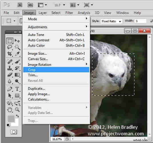 How to Crop to Fixed Aspect Ratios in Photoshop (4x6, 5x7, 1:1 Guide)