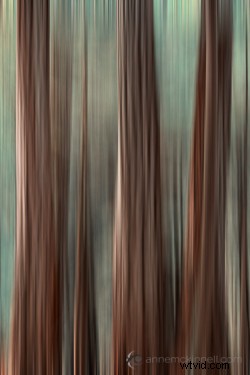 Master Motion Blur Effects in Photoshop: Step-by-Step Tutorial