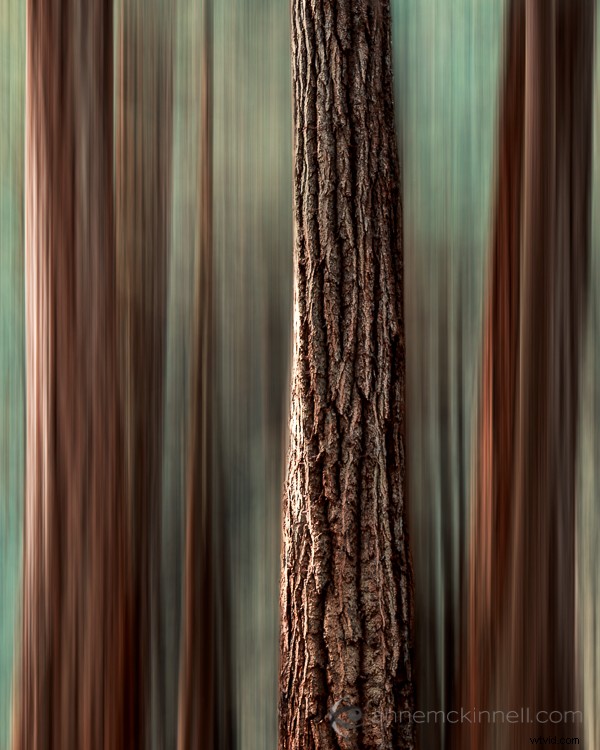 Master Motion Blur Effects in Photoshop: Step-by-Step Tutorial