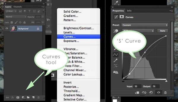 Master Portraits: 3 Essential Photoshop Tools for Beginner Photographers
