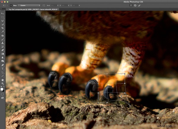 10 Essential Photoshop Editing Tips for Professional Results