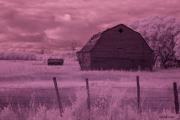 5 Expert Photoshop Techniques for Stunning Infrared Photo Processing