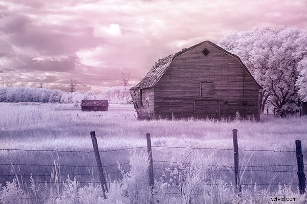 5 Expert Photoshop Techniques for Stunning Infrared Photo Processing