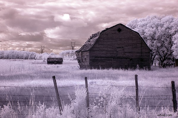 5 Expert Photoshop Techniques for Stunning Infrared Photo Processing