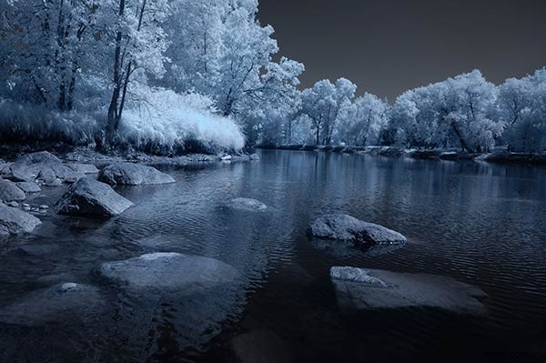 5 Expert Photoshop Techniques for Stunning Infrared Photo Processing