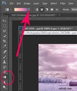 5 Expert Photoshop Techniques for Stunning Infrared Photo Processing