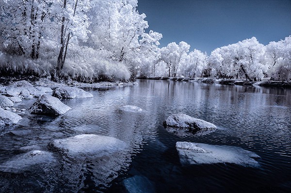 5 Expert Photoshop Techniques for Stunning Infrared Photo Processing