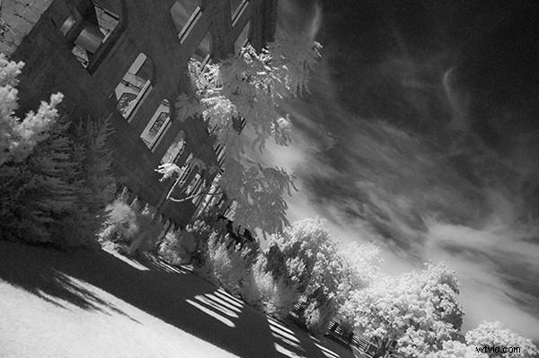 5 Expert Photoshop Techniques for Stunning Infrared Photo Processing